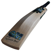 Gunn & Moore Aion DXM 606 Cricket Bat - Cricket shop italy